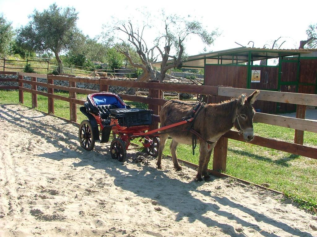 فيلا Agriturismo Agrimilo نوتو المظهر الخارجي الصورة