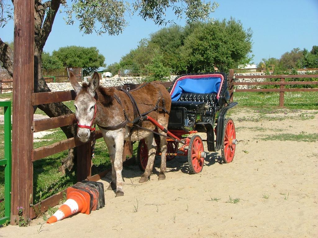 فيلا Agriturismo Agrimilo نوتو المظهر الخارجي الصورة