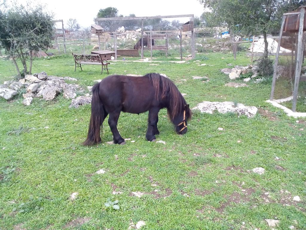 فيلا Agriturismo Agrimilo نوتو المظهر الخارجي الصورة