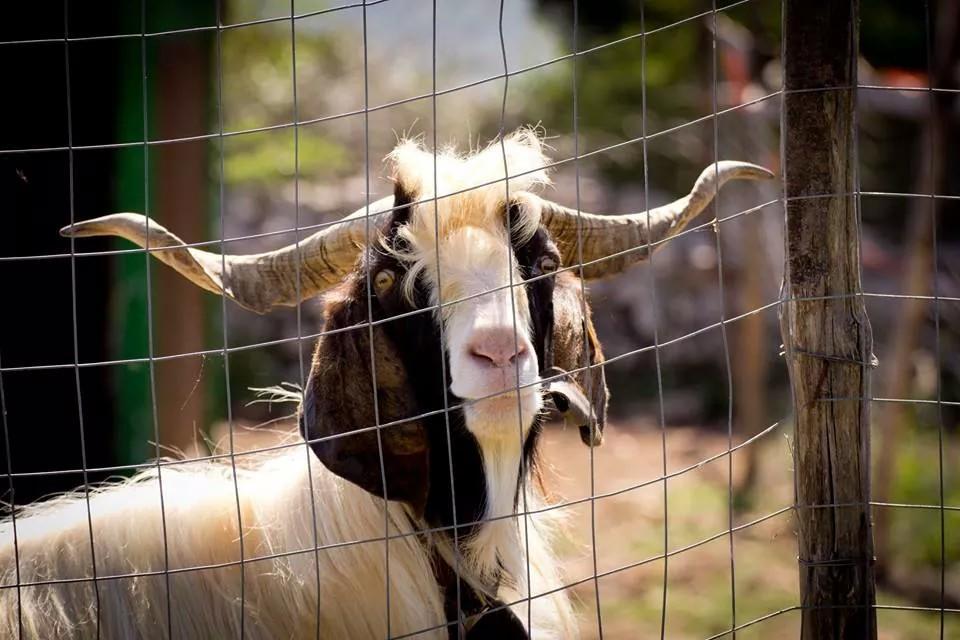 فيلا Agriturismo Agrimilo نوتو المظهر الخارجي الصورة