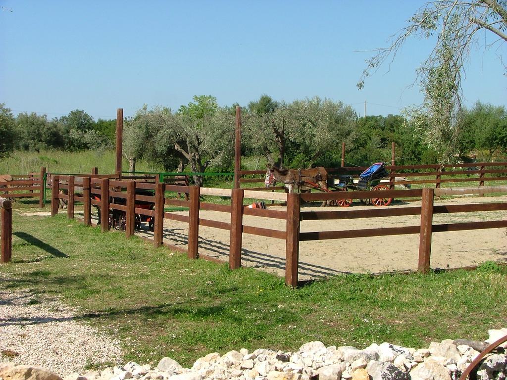 فيلا Agriturismo Agrimilo نوتو المظهر الخارجي الصورة