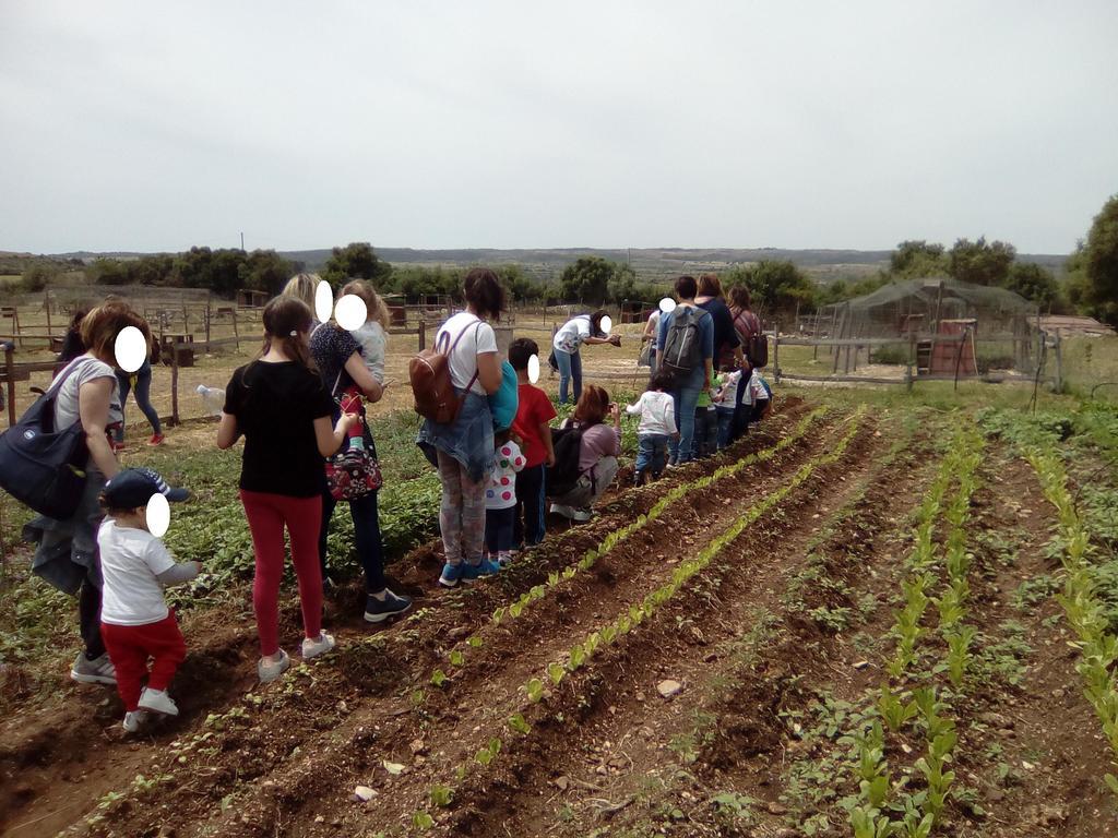 فيلا Agriturismo Agrimilo نوتو المظهر الخارجي الصورة